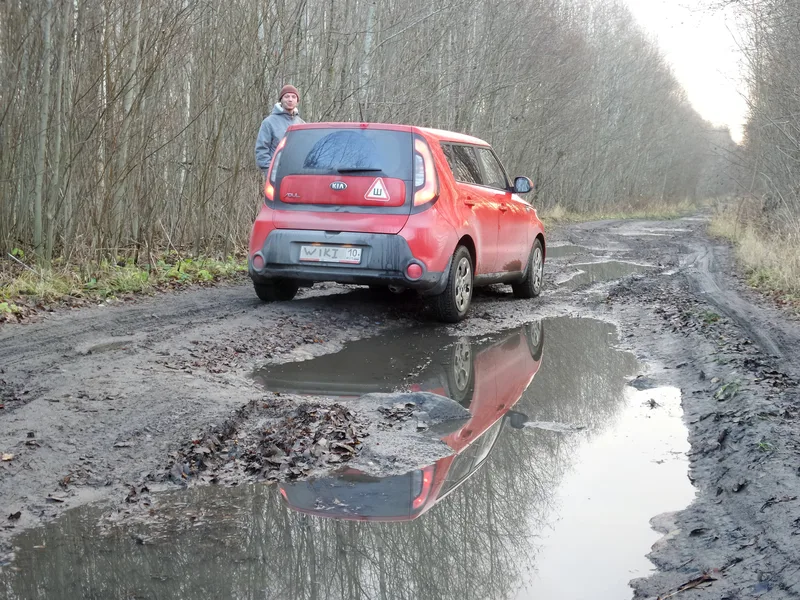 Carretera con árboles en otoño con coches circulando